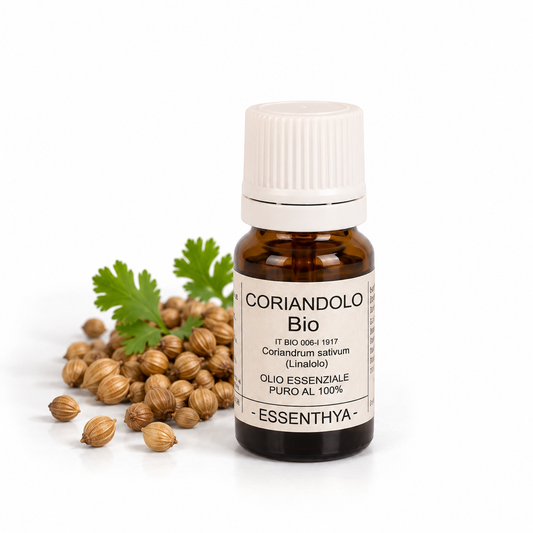 Flacone di olio essenziale di Coriandolo Bio da 10 ml accanto ai semi di coriandolo — Coriandrum sativum