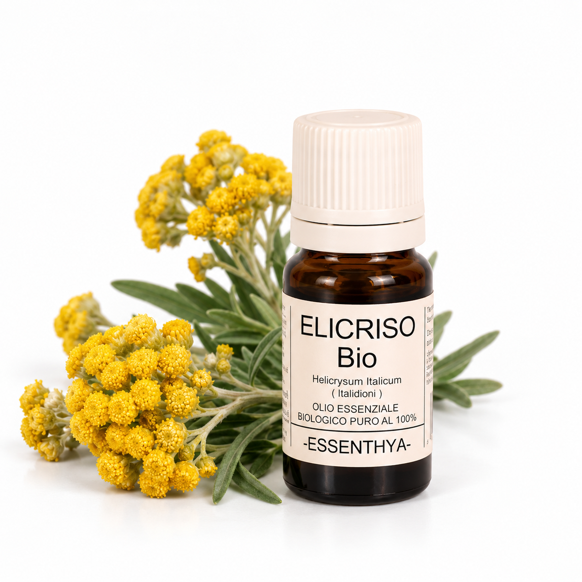 Flacone di olio essenziale di Elicriso Bio da 5 ml accanto alle sommità fiorite — Helichrysum italicum