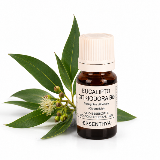 Flacone di olio essenziale di Eucalipto Citriodora Bio da 10 ml accanto alle foglie — Eucalyptus citriodora
