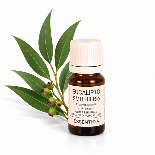 Flacone di olio essenziale di Eucalipto Smithii Bio da 10 ml accanto alle foglie — Eucalyptus smithii
