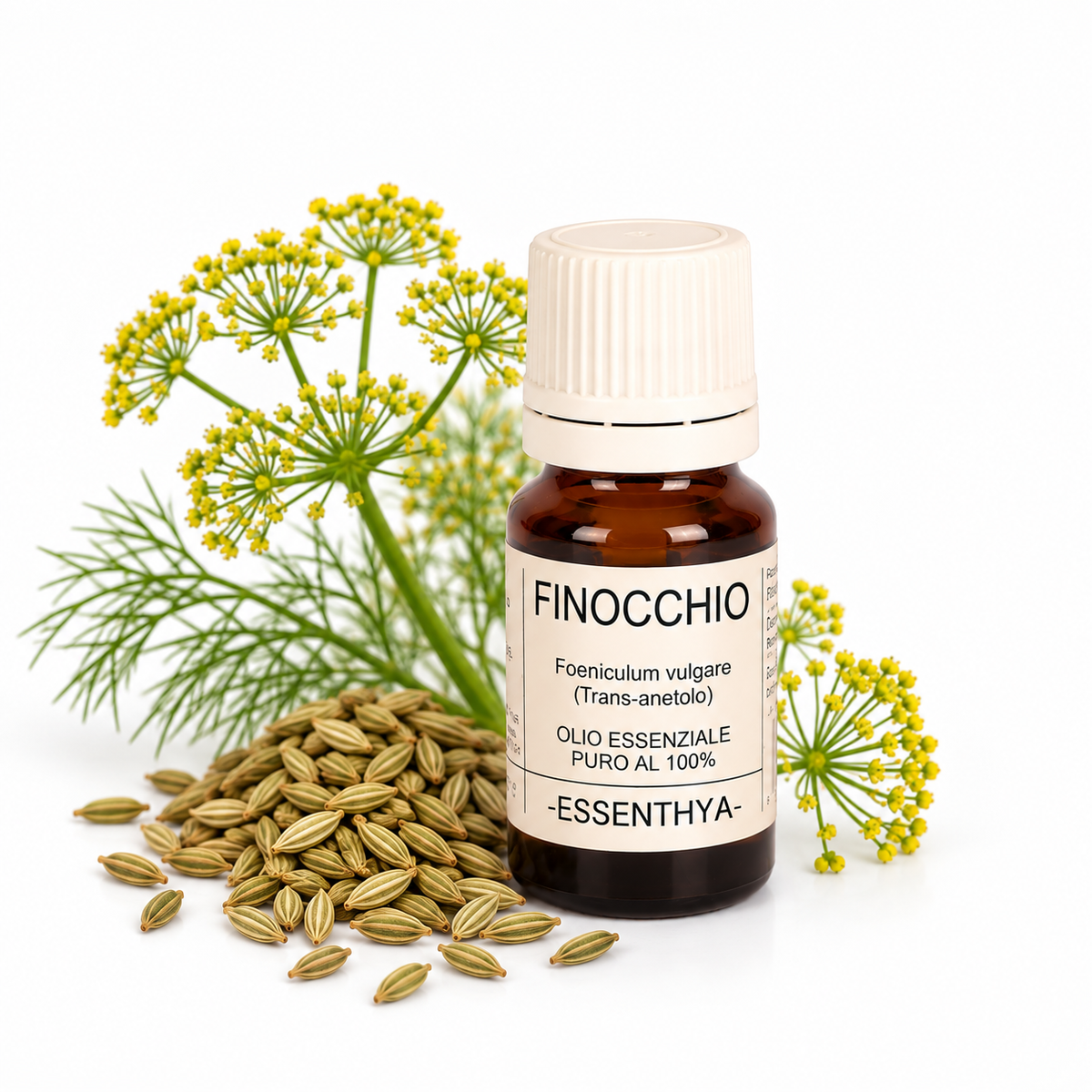 Flacone di olio essenziale di Finocchio da 10 ml accanto ai semi di finocchio — Foeniculum vulgare