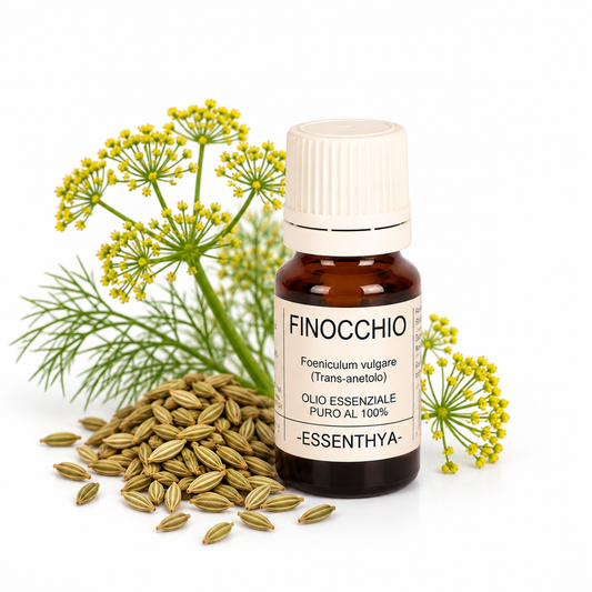 Flacone di olio essenziale di Finocchio da 10 ml accanto ai semi di finocchio — Foeniculum vulgare