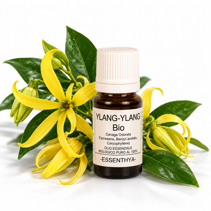 Flacone di olio essenziale di Ylang Ylang Bio in vetro ambrato, con fiori gialli di ylang ylang su fondo bianco — Cananga odorata