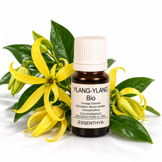 Flacone di olio essenziale di Ylang Ylang Bio in vetro ambrato, con fiori gialli di ylang ylang su fondo bianco — Cananga odorata
