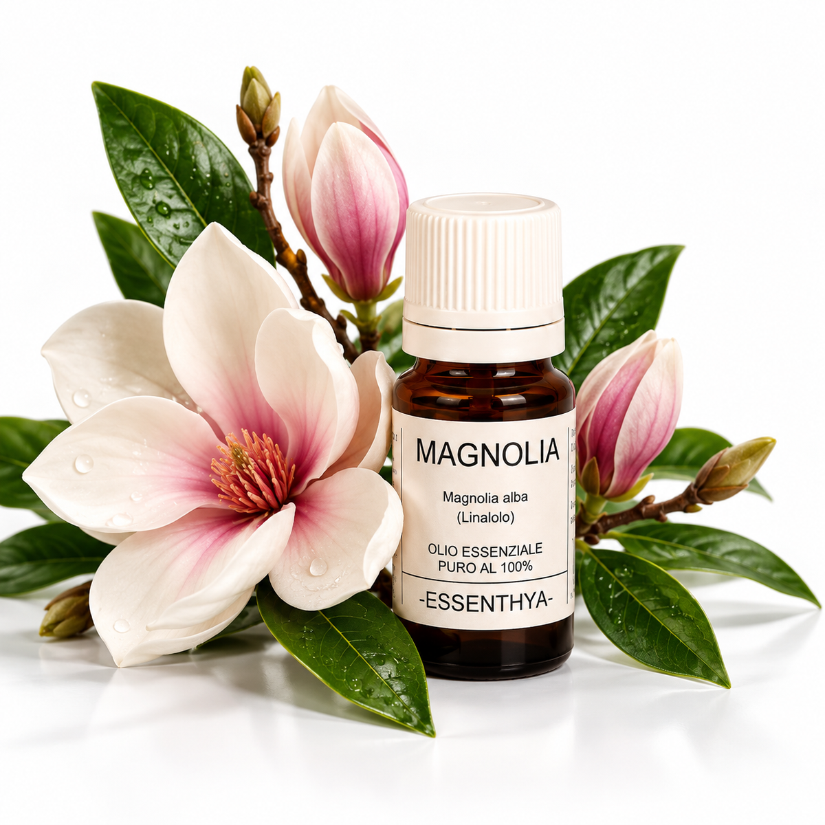 Flacone di olio essenziale di Magnolia in vetro ambrato, con fiori di magnolia su fondo bianco — Magnolia alba