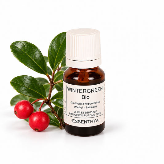 Flacone di olio essenziale di Wintergreen Bio in vetro ambrato, con foglie di gaultheria su fondo bianco — Gaultheria fragrantissima