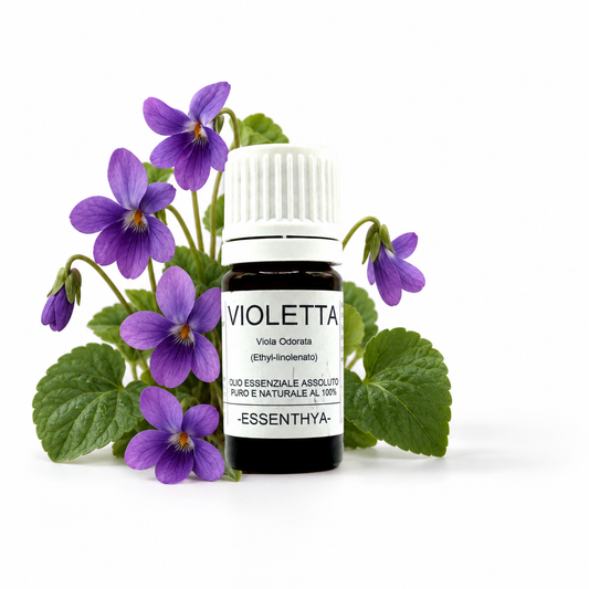 Flacone di olio essenziale di Violetta in vetro ambrato, con fiori e foglie di viola su fondo bianco — Viola odorata