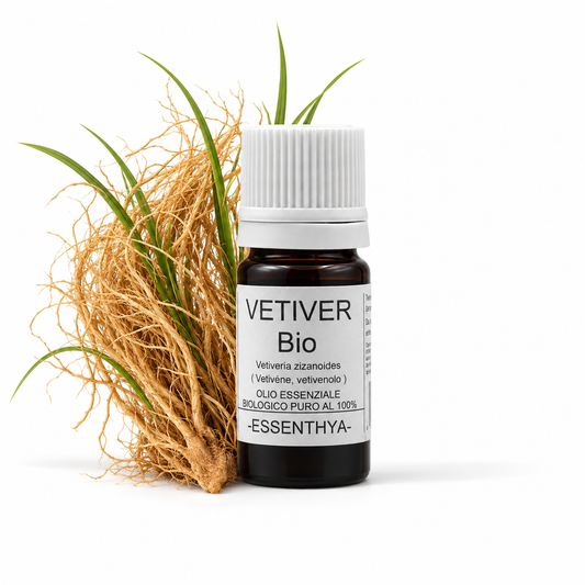 Flacone di olio essenziale di Vetiver Bio in vetro ambrato, con radici di vetiver su fondo bianco — Vetiveria zizanioides
