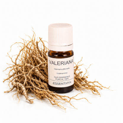 Flacone di olio essenziale di Valeriana in vetro ambrato, con radici di valeriana su fondo bianco — Valeriana officinalis