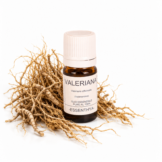 Flacone di olio essenziale di Valeriana in vetro ambrato, con radici di valeriana su fondo bianco — Valeriana officinalis