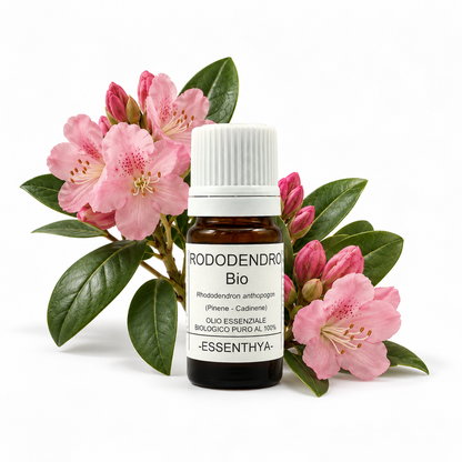 Flacone di olio essenziale di Rododendro Bio in vetro ambrato, con fiori rosa e foglie di rododendro su fondo bianco — Rhododendron anthopogon