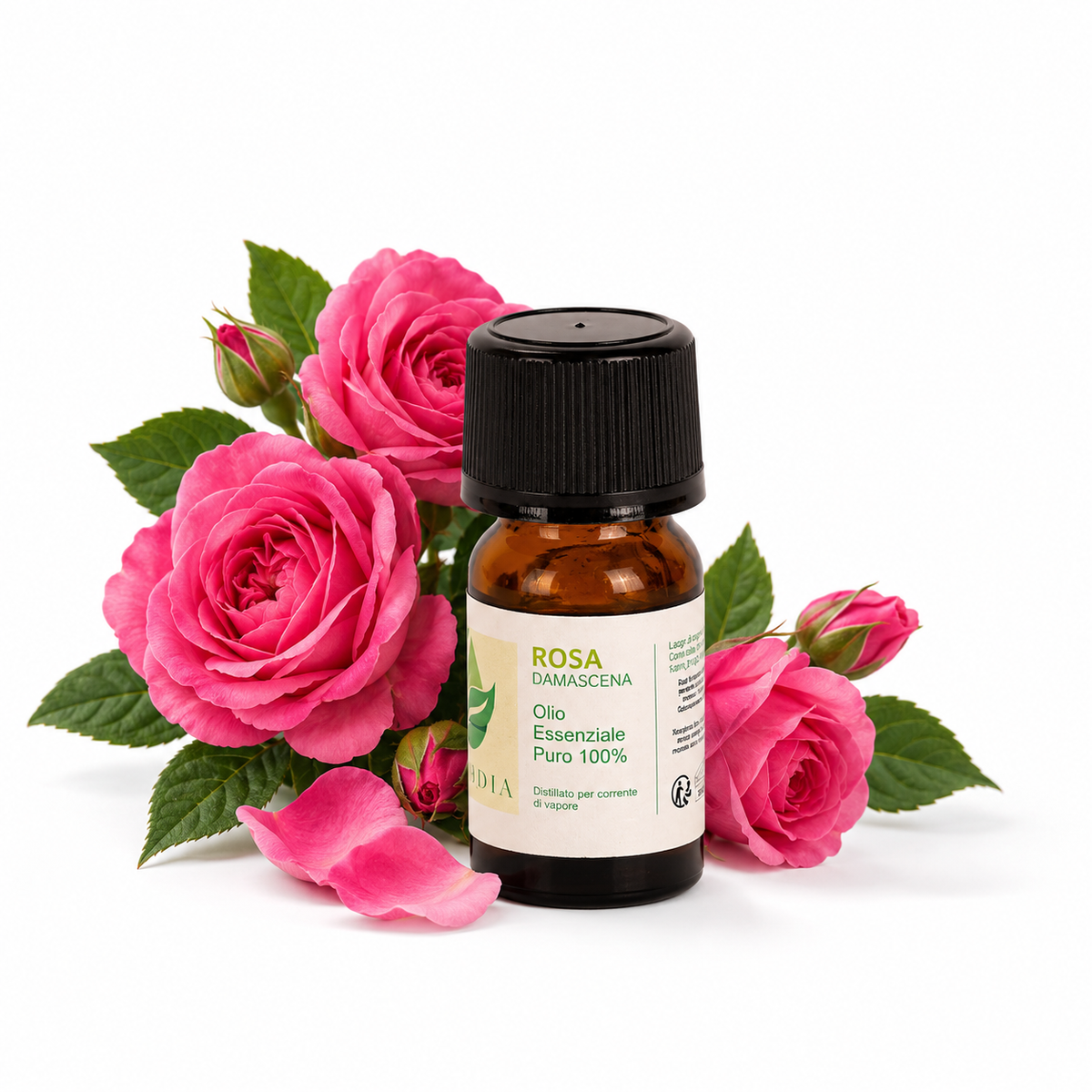 Flacone di olio essenziale di Rosa Damascena di Bulgaria in vetro ambrato, con rose damascene su fondo bianco — Rosa damascena