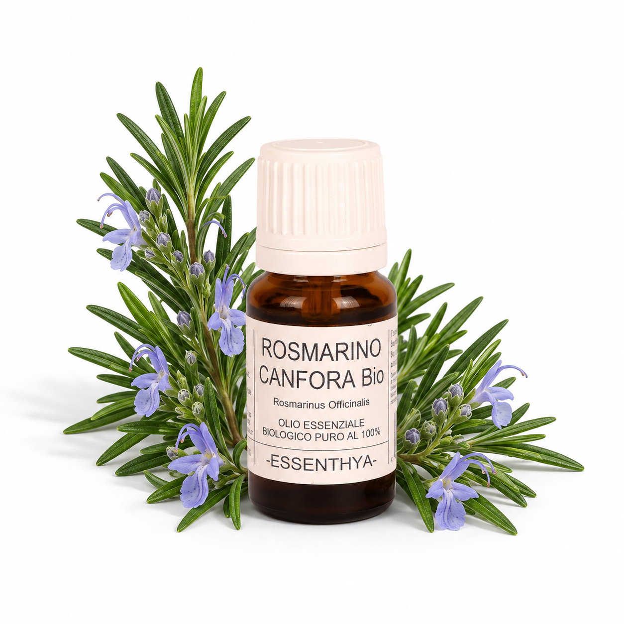 Flacone di olio essenziale di Rosmarino CT Canfora Bio in vetro ambrato, con rametti di rosmarino su fondo bianco — Rosmarinus officinalis