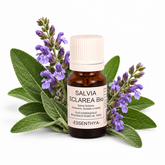 Flacone di olio essenziale di Salvia Sclarea Bio in vetro ambrato, con sommità fiorite di salvia sclarea su fondo bianco — Salvia sclarea