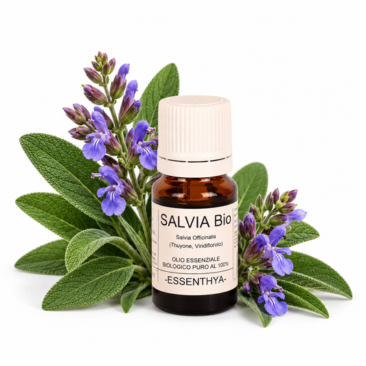 Flacone di olio essenziale di Salvia Bio in vetro ambrato, con foglie di salvia su fondo bianco — Salvia officinalis