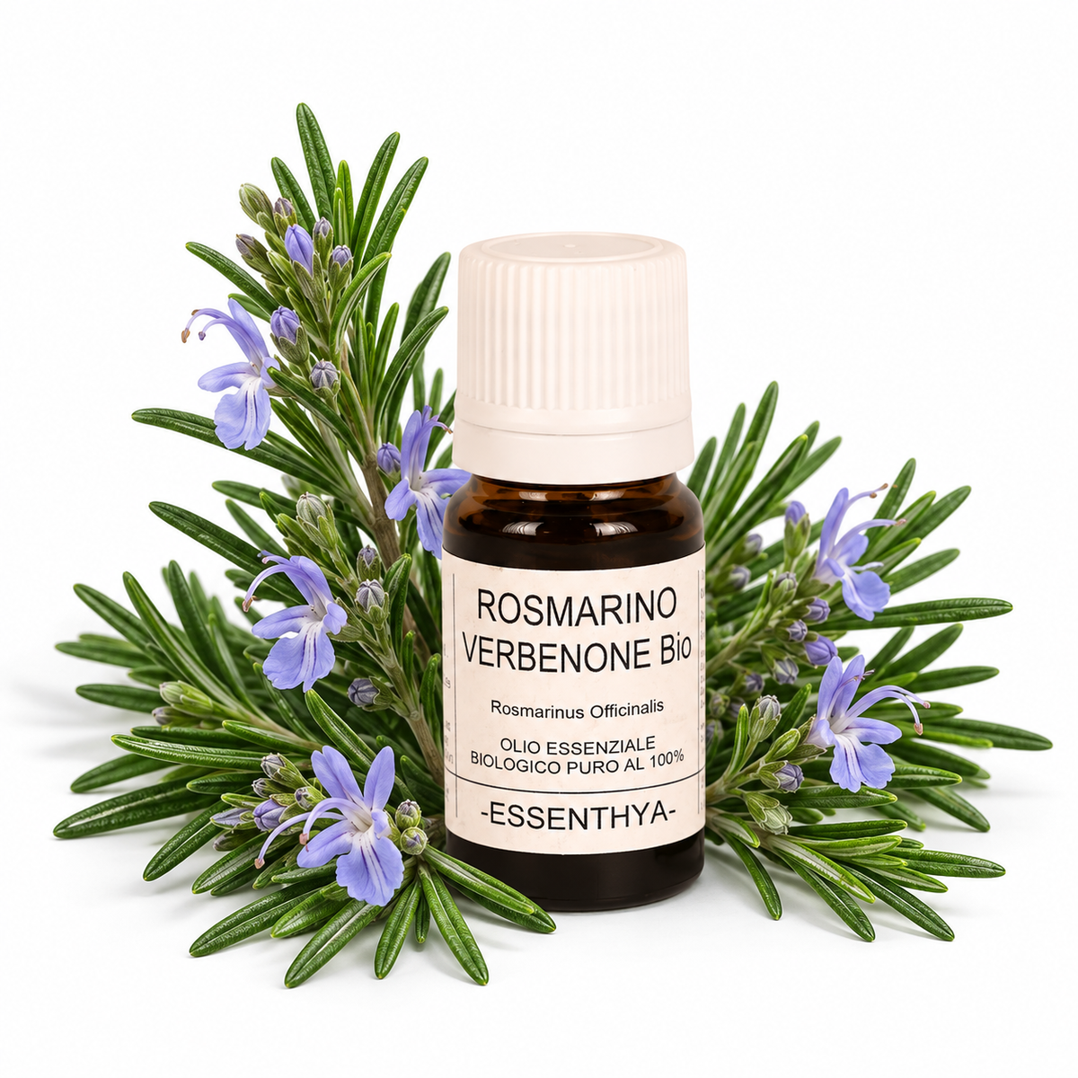 Flacone di olio essenziale di Rosmarino CT Verbenone Bio in vetro ambrato, con rametti di rosmarino su fondo bianco — Rosmarinus officinalis