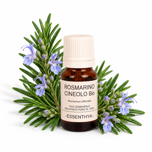 Flacone di olio essenziale di Rosmarino CT Cineolo Bio in vetro ambrato, con rametti di rosmarino su fondo bianco — Rosmarinus officinalis