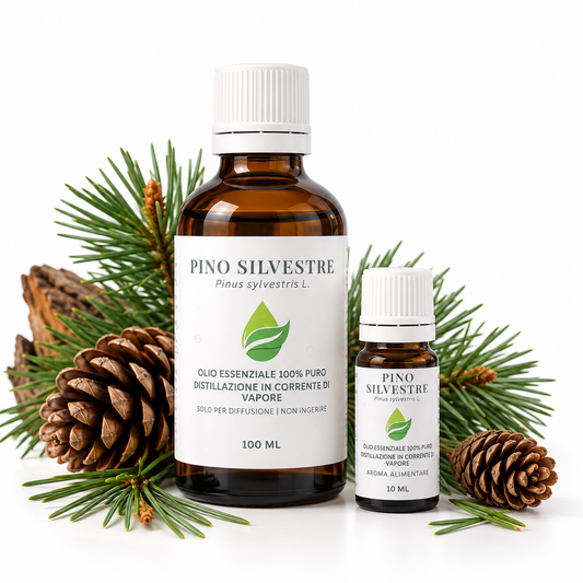Olio Essenziale di Pino Silvestre Euodia 10 e 100 ml con pigna e ramo di Pino