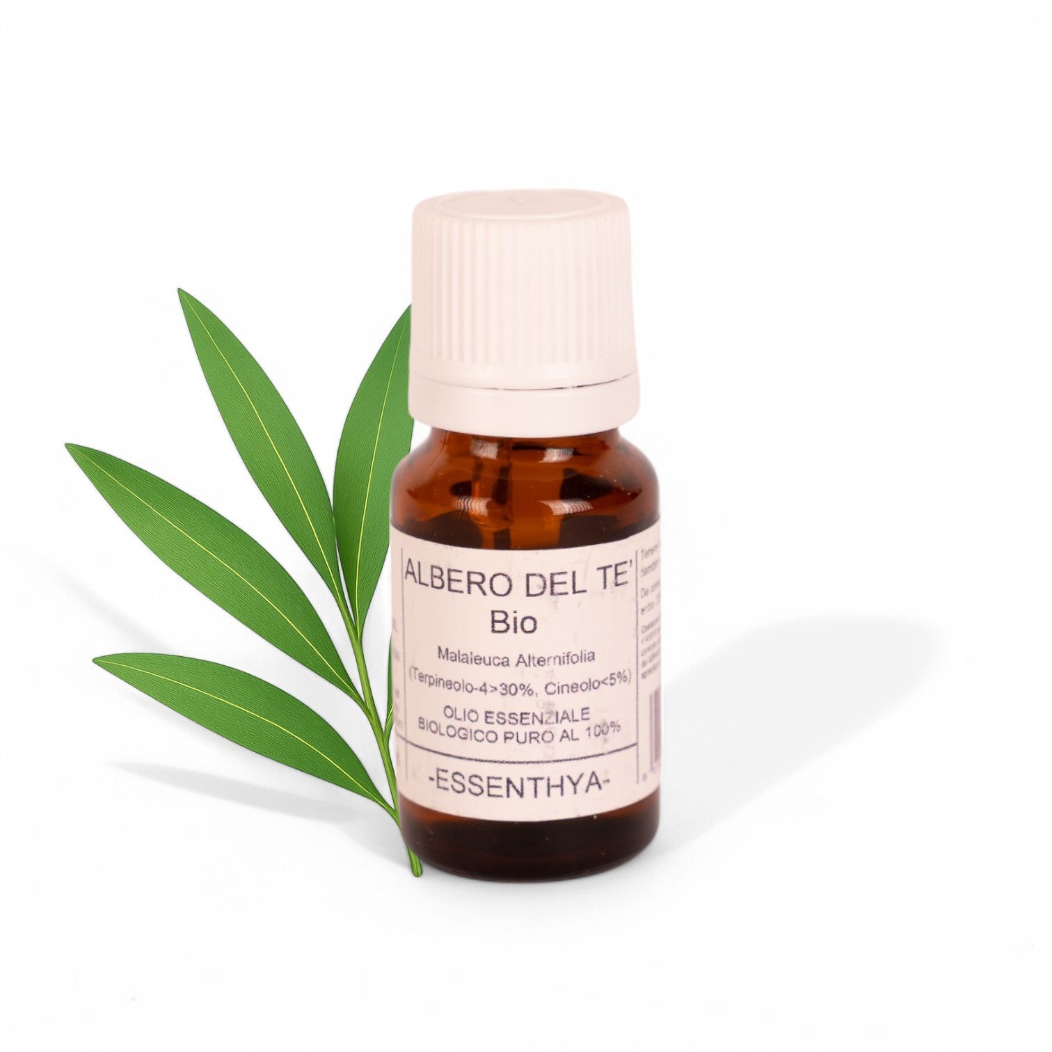 Olio essenziale Albero del Te , Tea Tree Oil