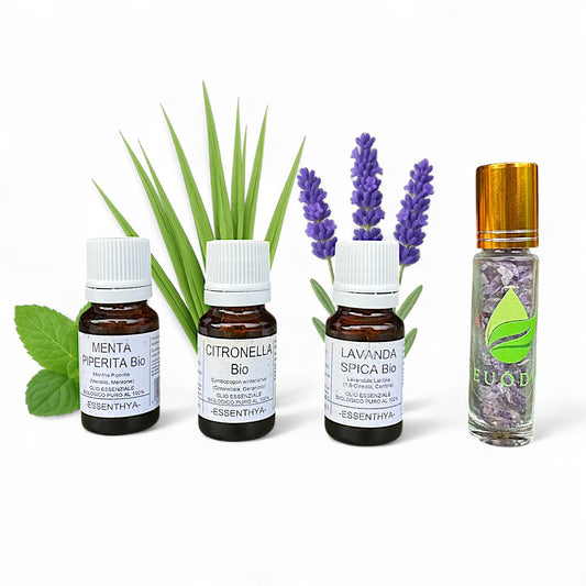 Kit Antizanzare Ambiente