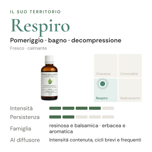 Bosco Balsamico: territorio Respiro, intensità e persistenza in diffusione a secco – scheda di design olfattivo EUODIA