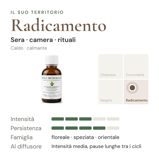 Rosa Muschiata: territorio Radicamento, intensità e persistenza in diffusione a secco – scheda di design olfattivo EUODIA