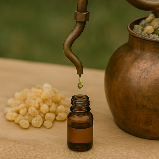 distillazione della resina dell'incenso