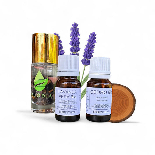 Kit Antipulci Naturale per Cuccia con spray con cristalli