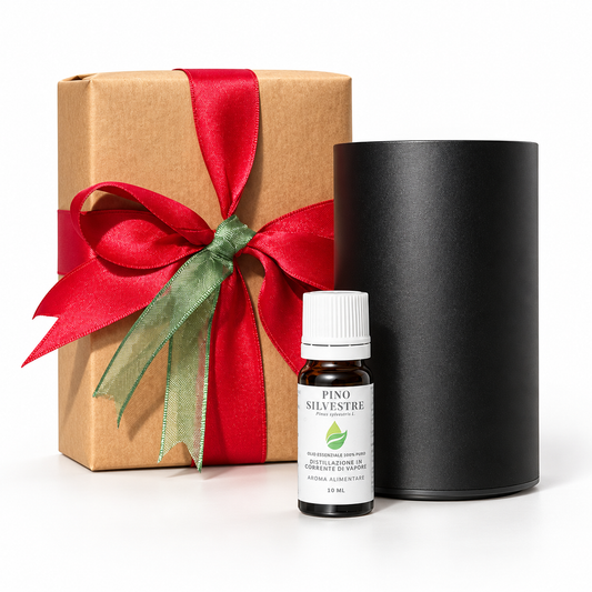 Kit Profumare il Natale EUODIA: olio essenziale di Pino Silvestre 10 ml con diffusore a secco ZENITH e confezione rega